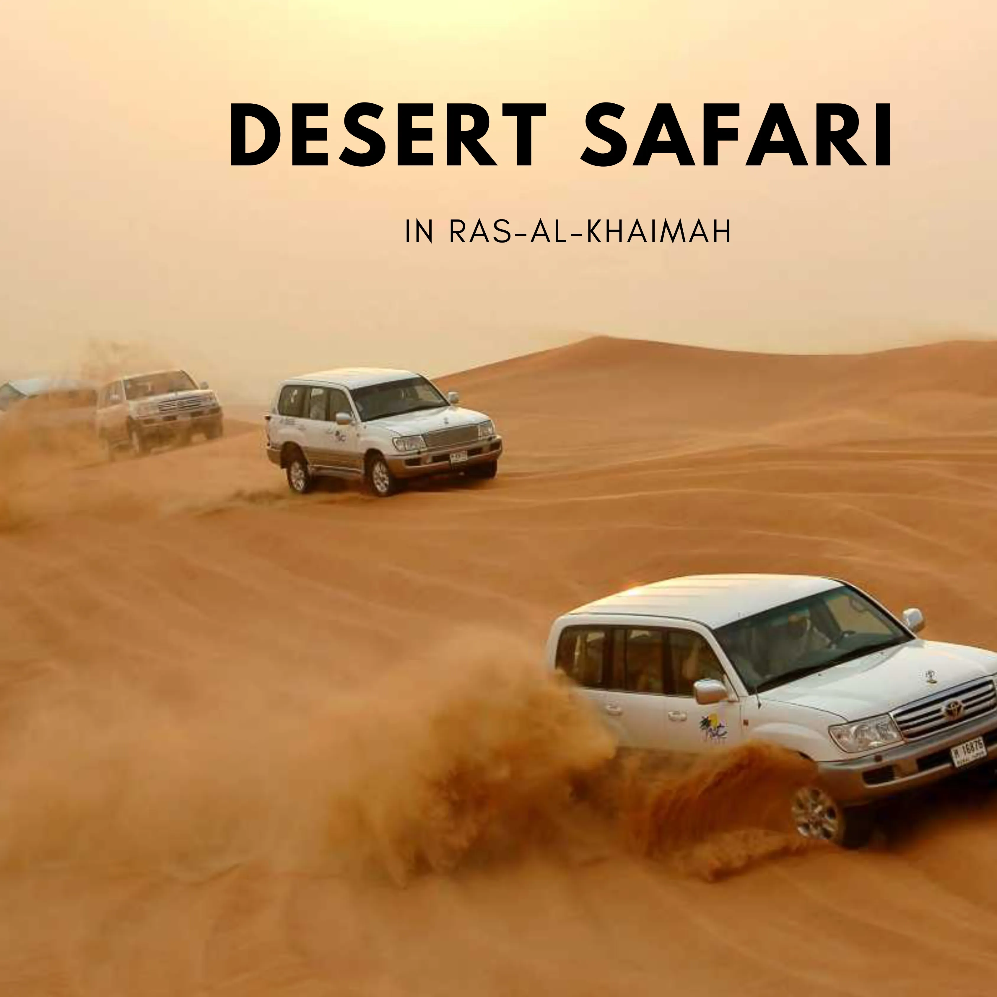 DESERT SAFARI IN RAS AL KHAIMAH