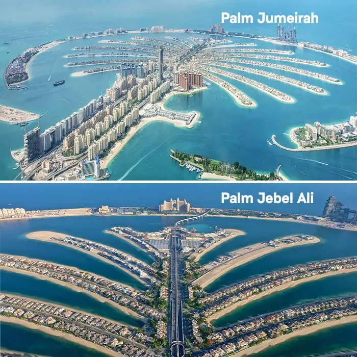 Palm jabel ali or palm Jumeirah inchbrick realty